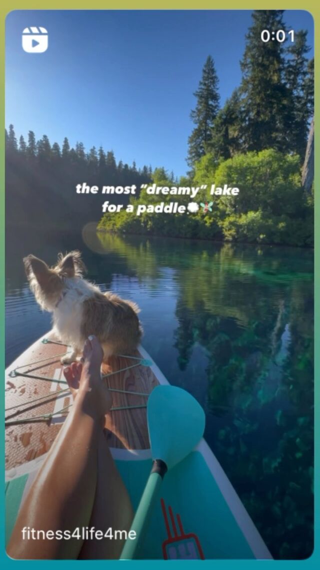 Magic at Clear Lake. ❤️ 📸 @fitness4life4me ❤️ #oregoncreatives #oregon #traveloregon #clearlake #inspo #nature #weekendishere